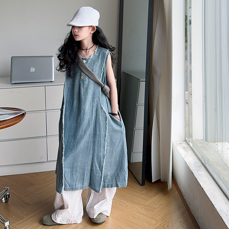 Gaun Denim Musim Panas Mewah A - Girl Fashion Street ulasan dan harga